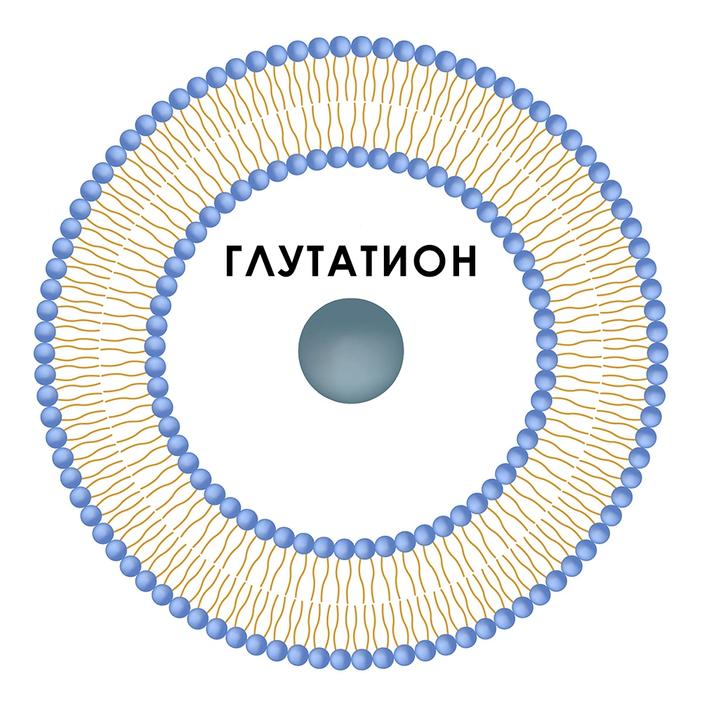 Формула липосомального глутатиона формула